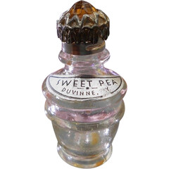 Sweet Pea by Duvinne