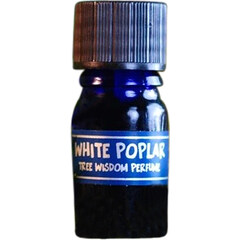 Tree Wisdom Perfume - White Poplar by Star Child