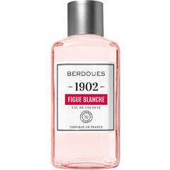 1902 - Figue Blanche by Berdoues