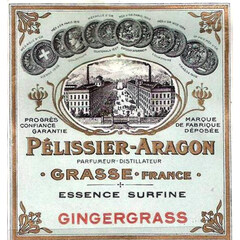 Essence Surfine Gingergrass by Nogara / Péllisier-Aragon / Les Fontaines Parfumées
