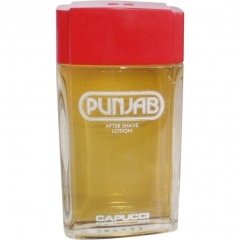 Punjab (After Shave Lotion) von Roberto Capucci