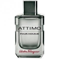 Attimo pour Homme (After Shave Lotion) by Salvatore Ferragamo