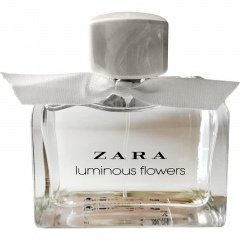 Luminous Flowers von Zara