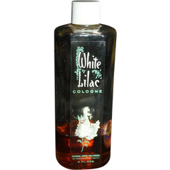 White Lilac by Colonial Dámes