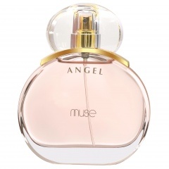 Angel by Muse