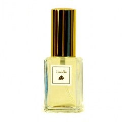 L'Eau d'Iris von DSH Perfumes