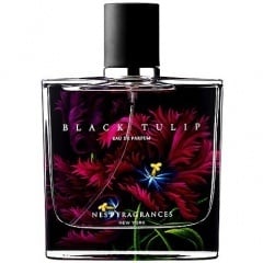 Black Tulip by Nest