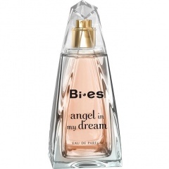 Angel in my Dream by Uroda / Bi-es
