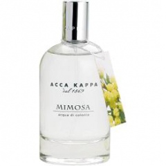 Mimosa von Acca Kappa