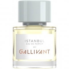 Istanbul von Gallivant
