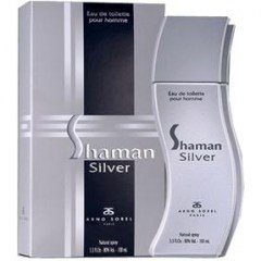 Shaman Silver by Arno Sorel