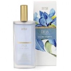 Floral Collection - Iris by Marks & Spencer