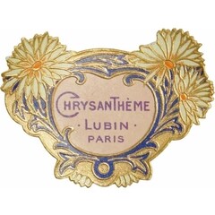 Chrysanthème von Lubin