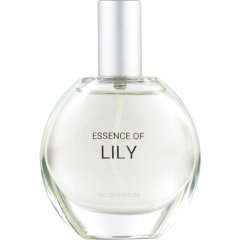 Essence of Lily by C&A