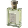 Signature Perfume - Basil Terrace by Forment