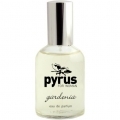 Gardenia by Pyrus