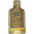 Welsh Violets by Zenobia