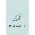 The Flower Market von Wild Hybrid