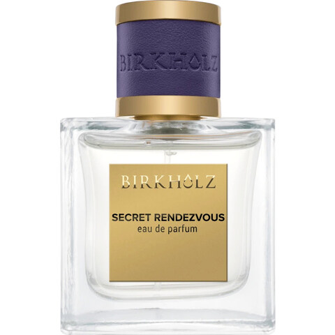 Secret Rendezvous by Birkholz