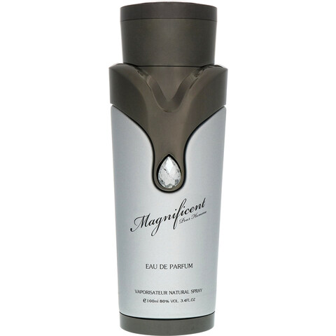 Magnificent pour Homme by Armaf