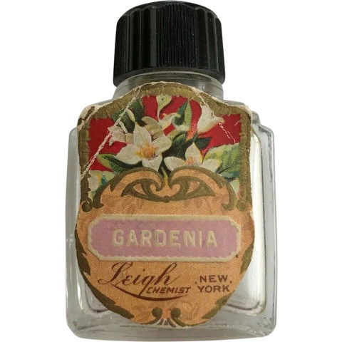 Gardenia by Leigh