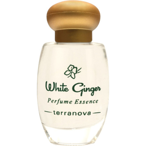 White Ginger (Perfume Essence) by Terranova