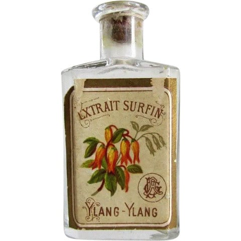 Extrait Surfin Ylang-Ylang by Unknown Brand / Unbekannte Marke
