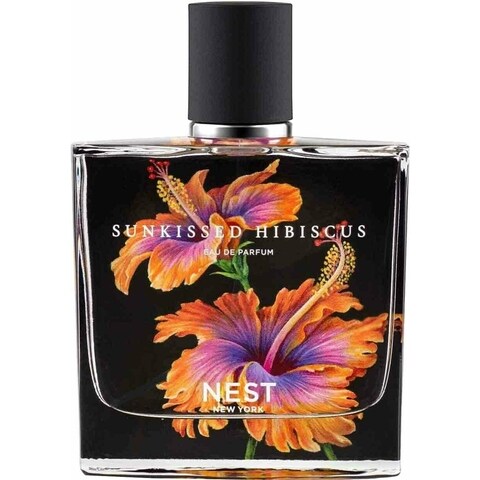 Sunkissed Hibiscus by Nest
