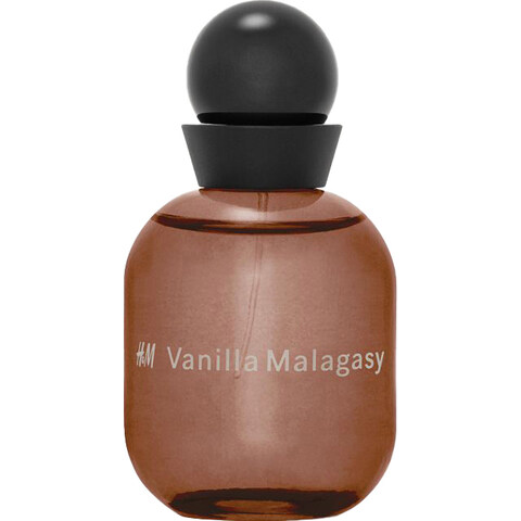 Vanilla Malagasy by H&M