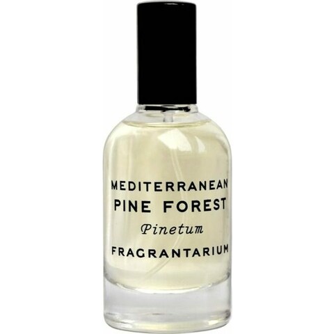 Mediterranean Pine Forest by Fragrantarium