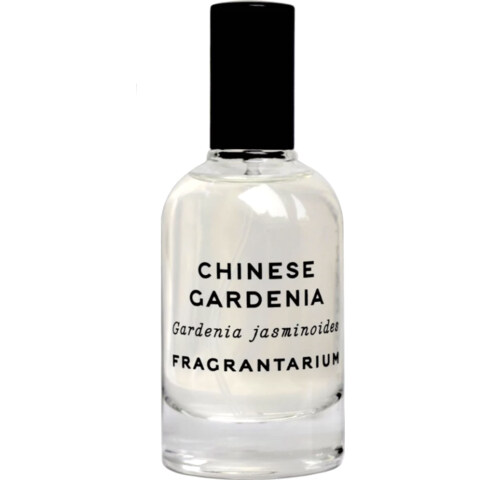Chinese Gardenia by Fragrantarium