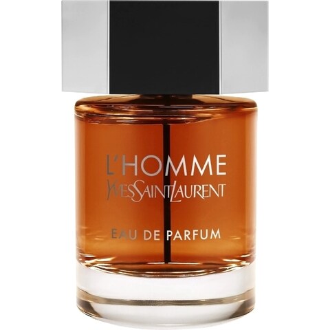 L'Homme (Eau de Parfum) von Yves Saint Laurent