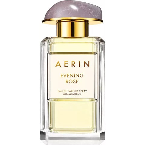Evening Rose by Aerin