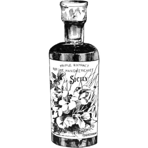 Violets of Sicily von C. B. Woodworth & Sons Co.