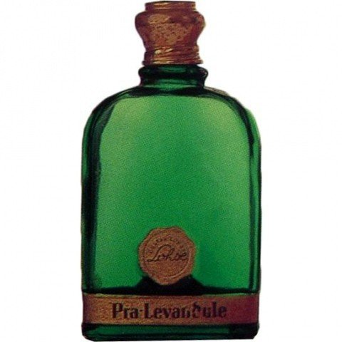 Pra-Levandule by Gustav Lohse