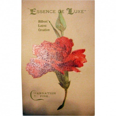 Carnation Pink von A. J. Hilbert & Co.