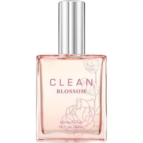 Blossom by Clean