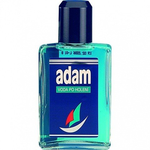 Adam by Astrid