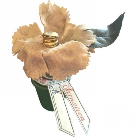 Perfume Garden - Carnation by A. L. Siegel