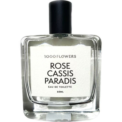 Rose Cassis Paradis by 1000 Flowers