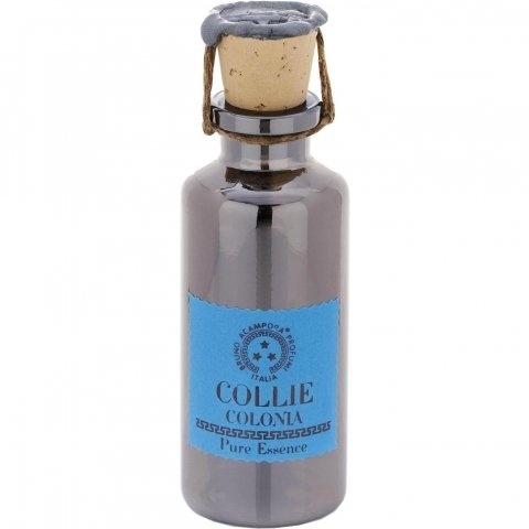Collie / Colonia (Perfume Oil) by Bruno Acampora