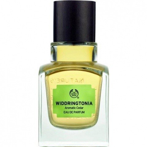 Widdringtonia - Aromatic Cedar von The Body Shop