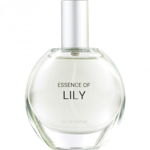 Essence of Lily by C&A
