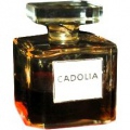 Cadolia von Cadolle