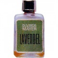 Lavendel von Dr. Virgil Mayer