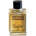 Picaflor by Perfumera Curandera