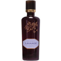 Classic Collection: Aqua Aromatica - Lavande by Florascent