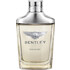 Bentley Infinite - Bentley