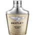 Bentley Infinite Rush - Bentley
