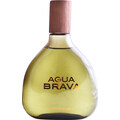 Agua Brava (After Shave) by Puig